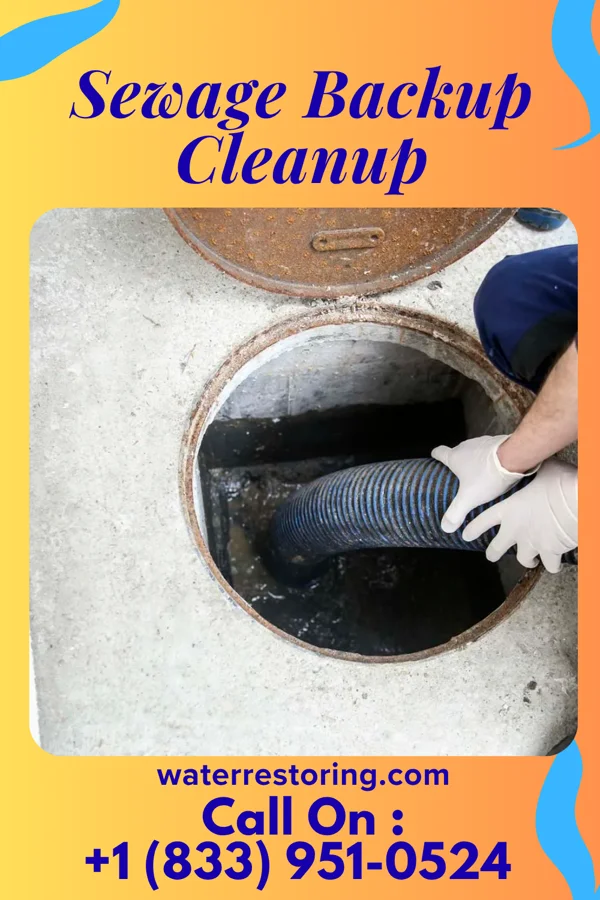 Sewage Backup Cleanup in Hartsburg, MO