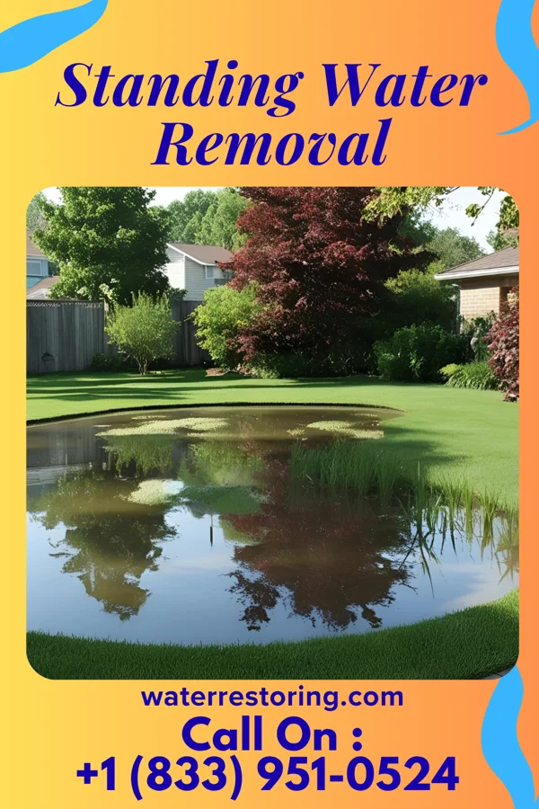 Standing Water Removal in Hartsburg, MO